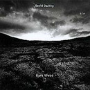 Dark Wood