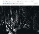 Fantasie, Rondo, Sonate