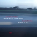 Symfonie �. 1, Nocturno