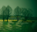 Symfonie �. 4, M�j domov